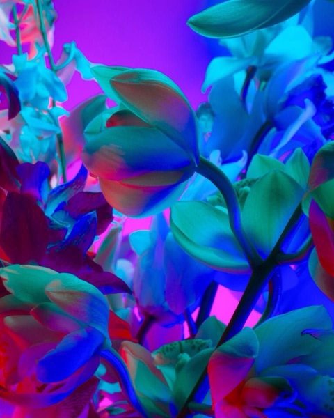 Переливающаяся ткань