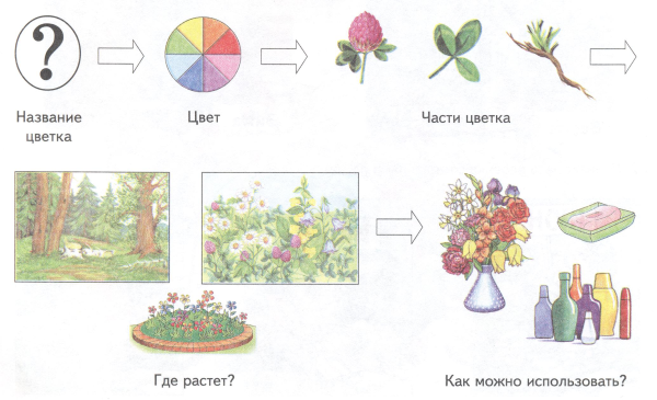 Составление рассказа о цветах