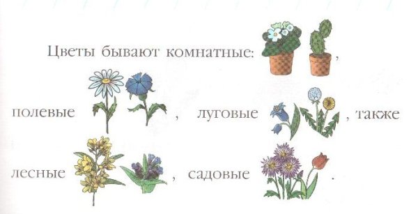 Лексическая тема цветы