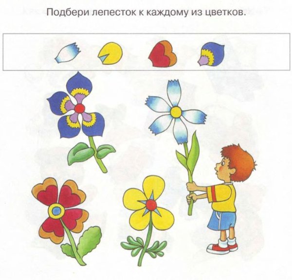 Цветы задания для дошколь