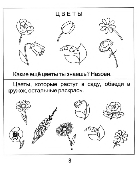 Растения задания для дошкольников