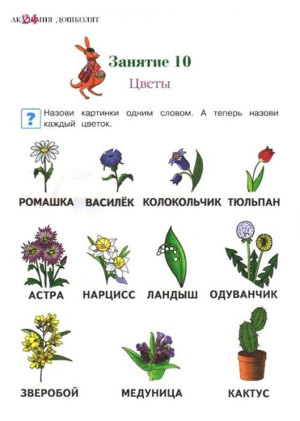 Растения задания для детей