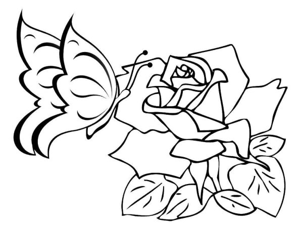 Картинки раскраски для девочек цветы