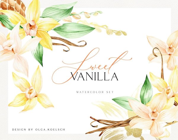 Ваниль рисунок акварелью
