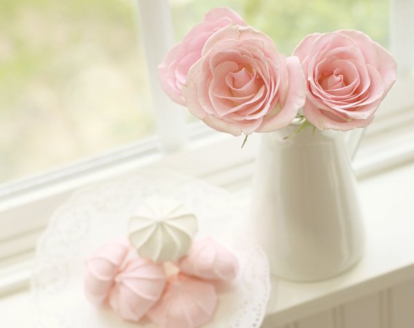 Нежный цветок