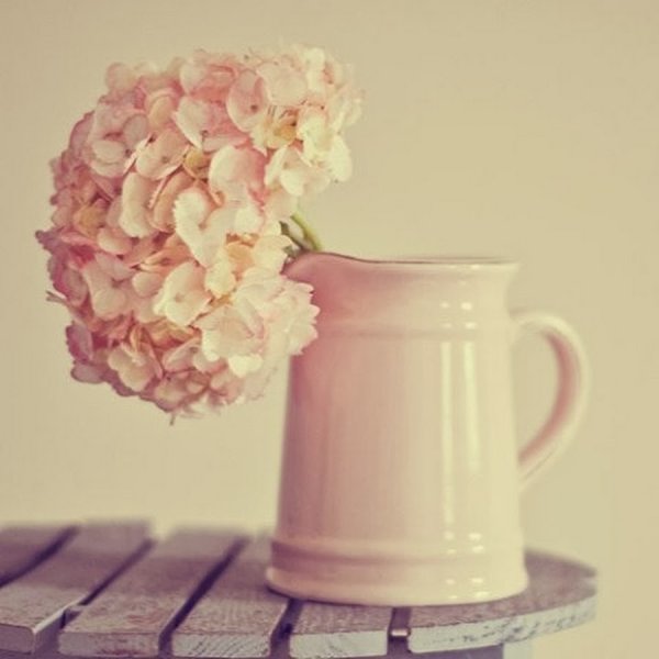 Ванильная нежность