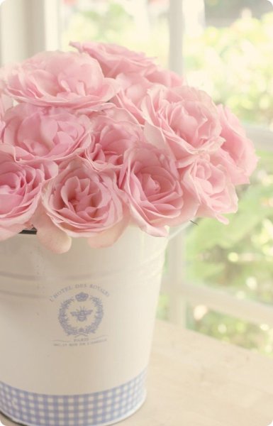 Цветы нежно розового цвета