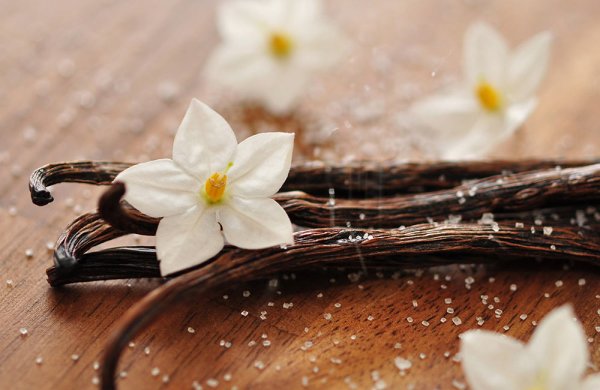 Ваниль фото