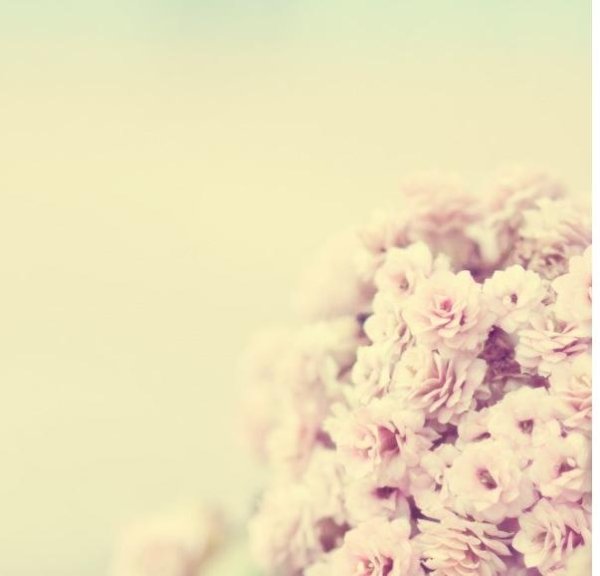 Нежность любовь ванильные картинки