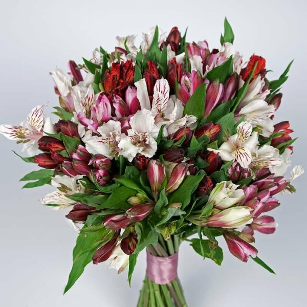 Цветы астельмерия