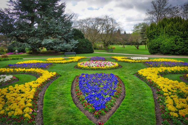 Парк Шеффилд Гарден,природа,цветы,деревья,