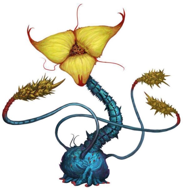 Выдуманные цветы