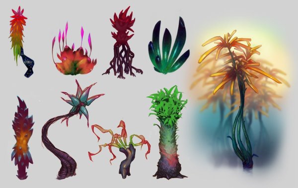 Концепты растений