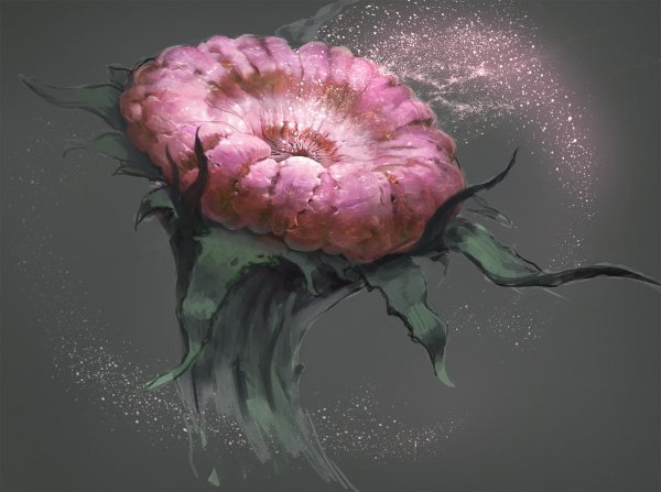 Subnautica растения