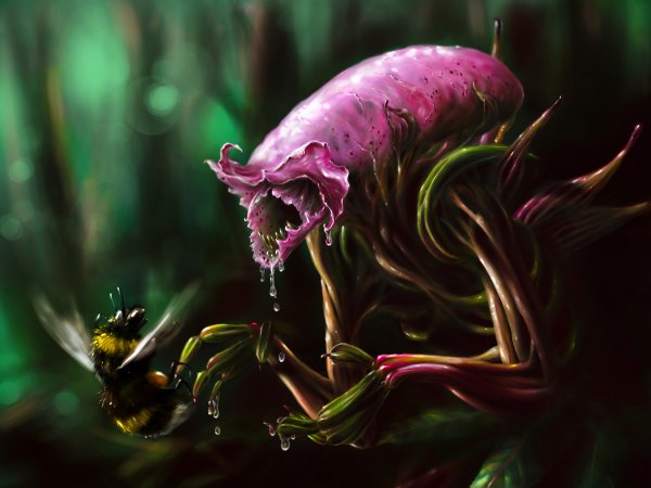 Венерина мухоловка фэнтези