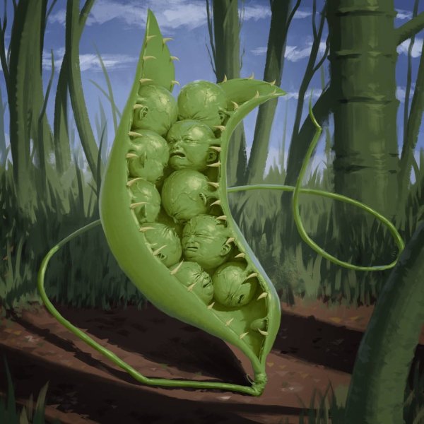 Цветы в ультрафиолете Крейг Берроуз