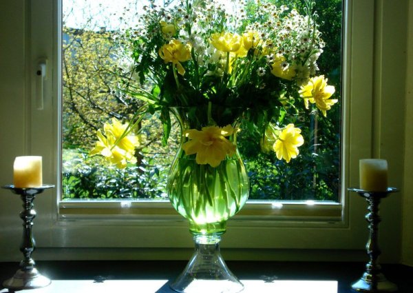 Живые цветы на окне