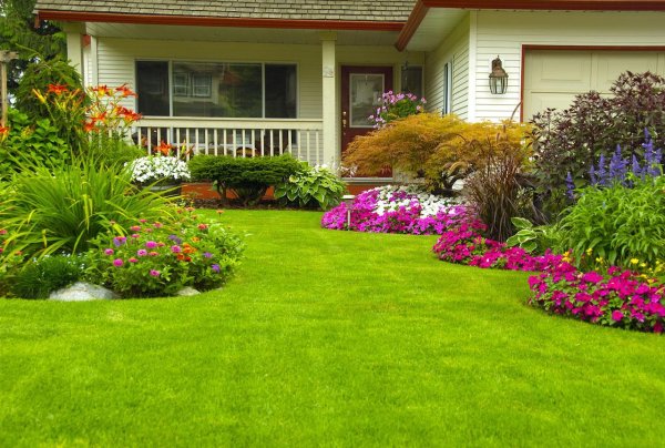 Кёкенхоф рабатка