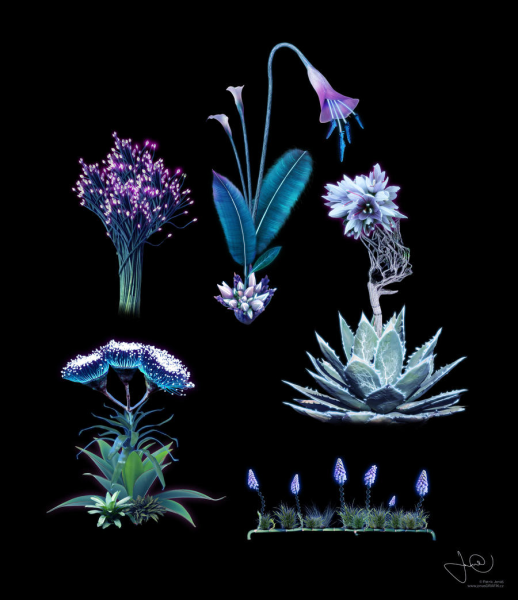 Фантастические цветы концепт