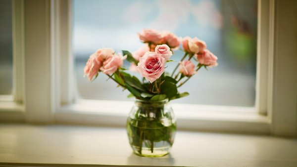 Букет цветов на фоне окна