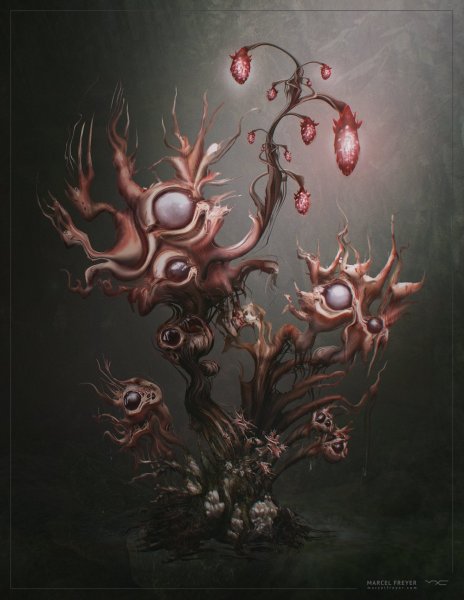 Внеземная природа