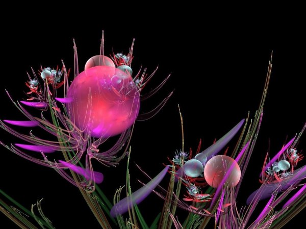 Арты растений