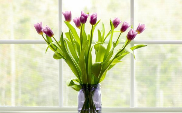 Весенние цветы на подоконнике