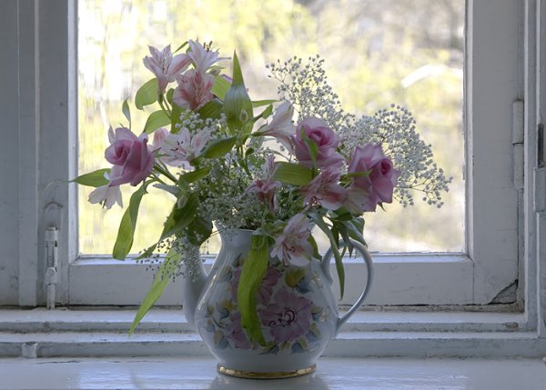 Красивые цветы на окне