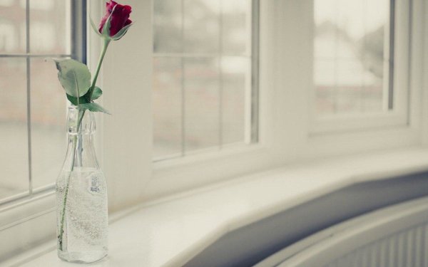 Ваза на подоконнике