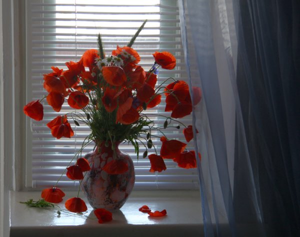 Букет на подоконнике