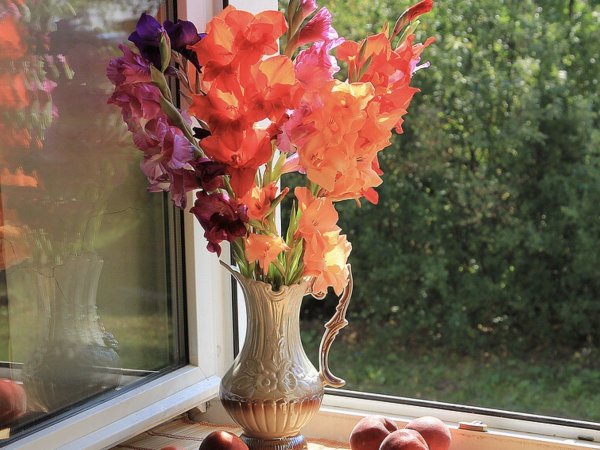 Окно с цветами