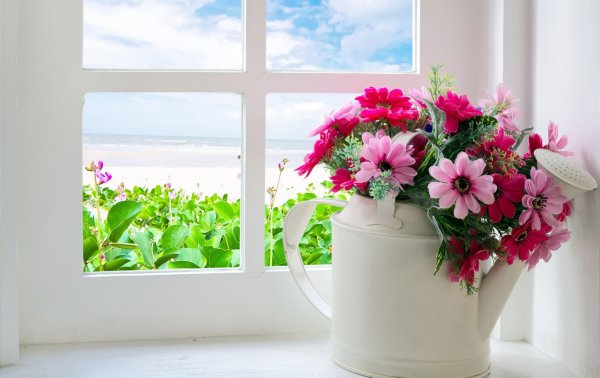 Розы на подоконнике