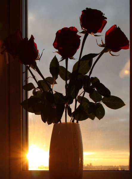 Букет цветов на окне