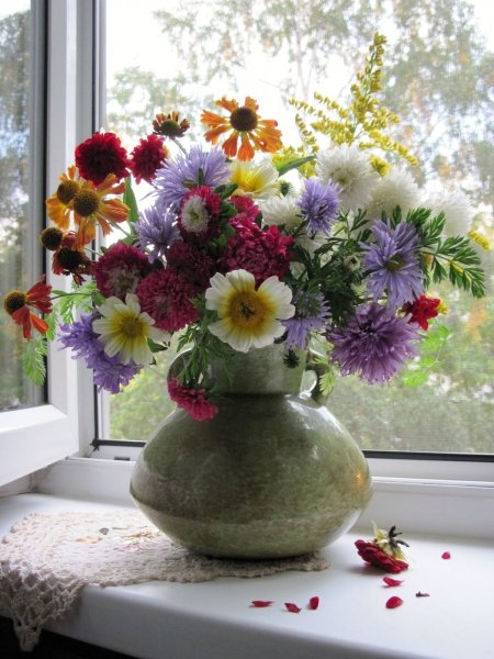 Пионы в вазе на подоконнике