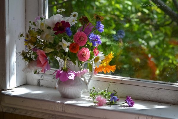 Пионы в вазе на подоконнике