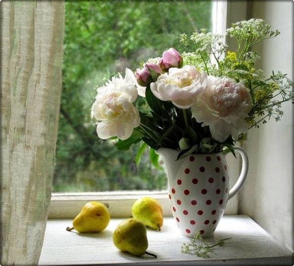 Ромашки на подоконнике