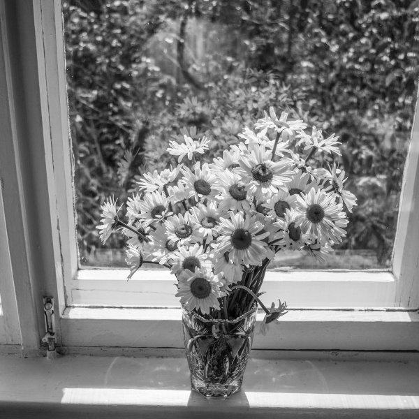 Цветы в вазе на окне