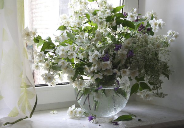 Букет цветов на подоконнике