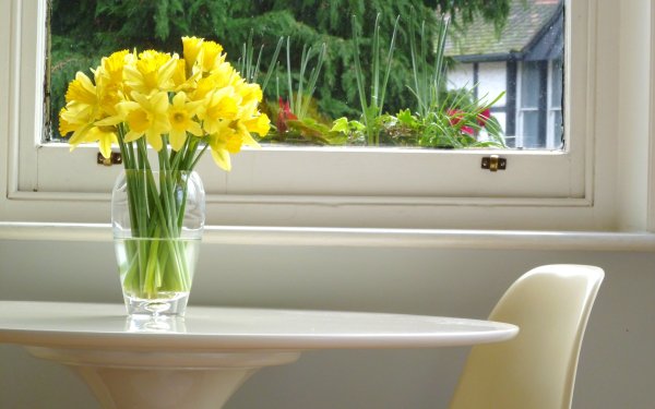 Осенние цветы на окне