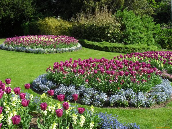 Цветочные клумбы