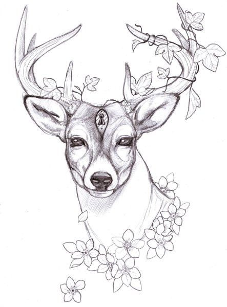 Олень для срисовки