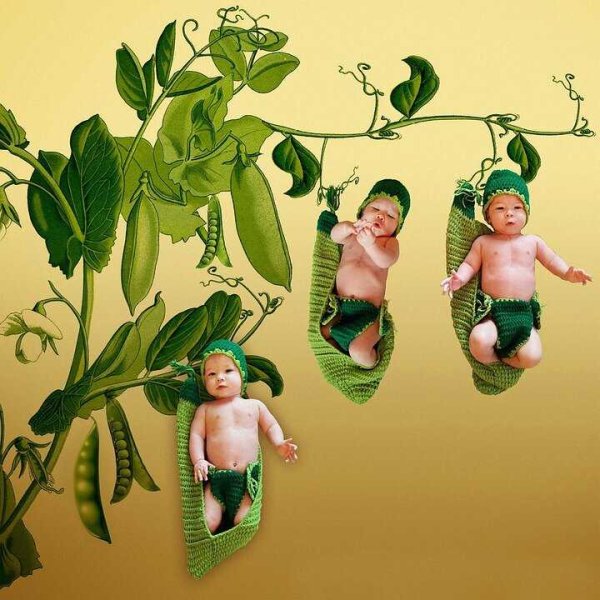 Ребенок с цветами в руках