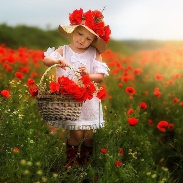 Сирень обыкновенная Леся Украинка