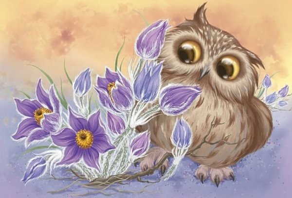 Сова иллюстрация