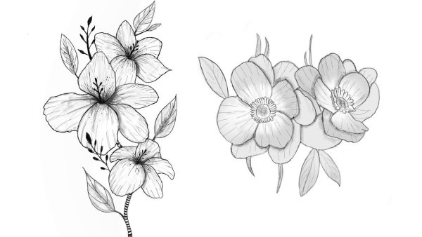 Рисунки цветов для срисовки