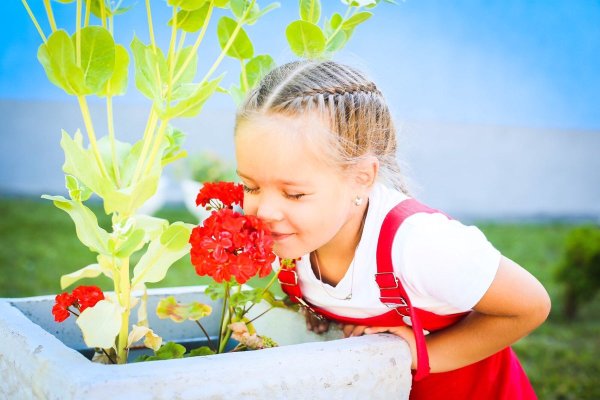 Фотограф детей Анна Геддес