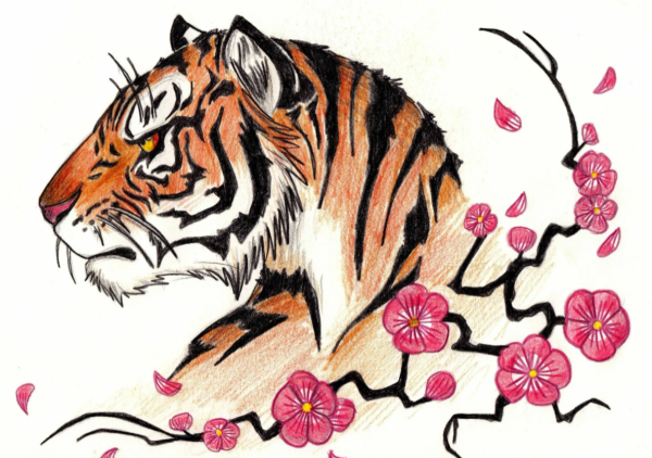 Тигр для срисовки
