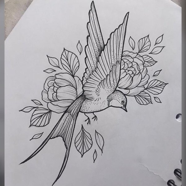 Птица эскиз