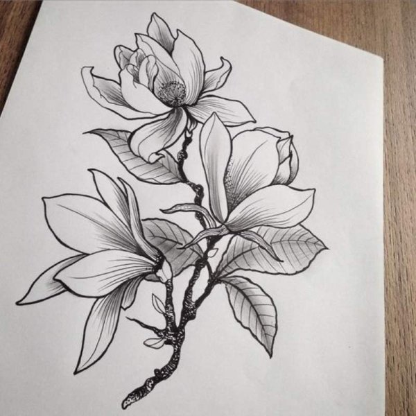 Магнолия випшейзинг тату