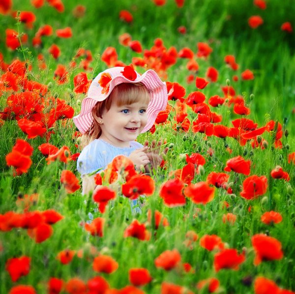 Гармония природы